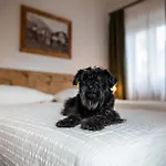Hotel Panda Cortina- Ricarica Auto Elettriche Cortina dʼAmpezzo