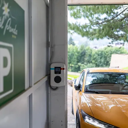 Panda Cortina- Ricarica Auto Elettriche Hotel Cortina d'Ampezzo