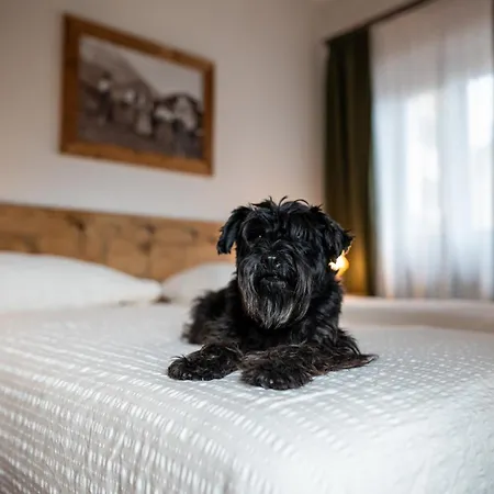 Hotel Panda Cortina- Ricarica Auto Elettriche Cortina dʼAmpezzo